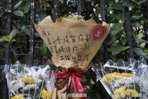 又见面了，拜仁此前曾在本赛季欧冠联赛阶段击败本菲卡